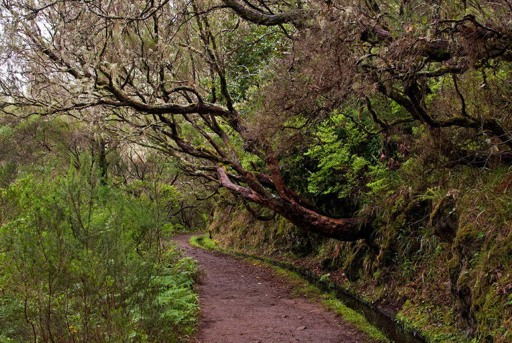 418_Madera_Levada das 25 Fontes.jpg